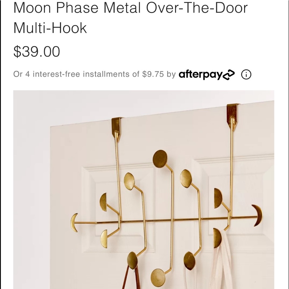 Gold over the door hook organizer